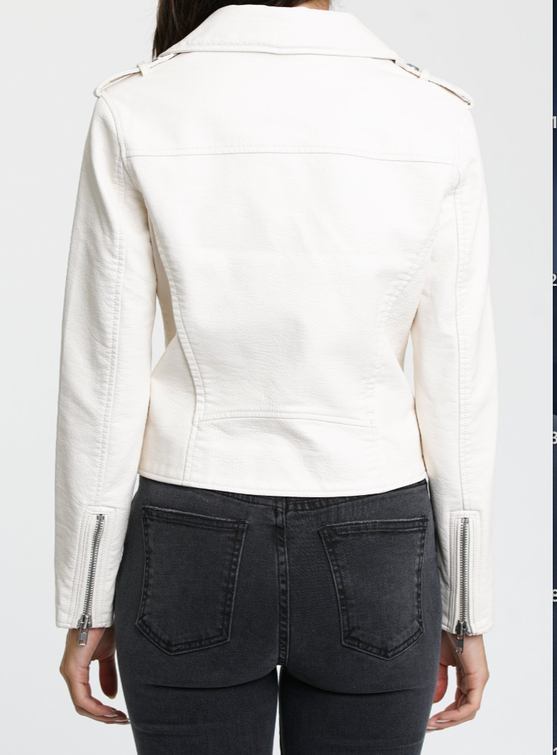 Marni Vegan Moto Jacket - Rude Society